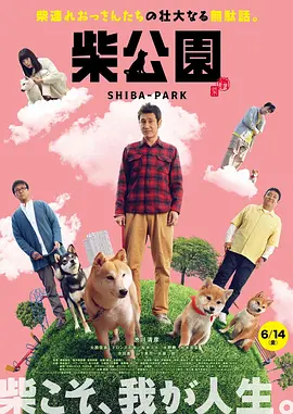 久久天天躁夜夜躁狠狠躁2019