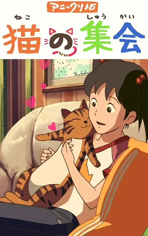 寡妇的私人秘密