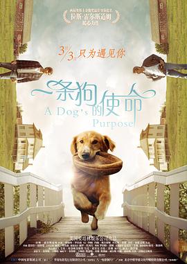 青青精品