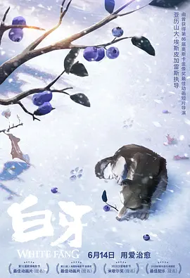 日韩国产成人精品视频