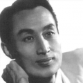 日本天天操