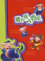 亚洲精品国产a久久久久久