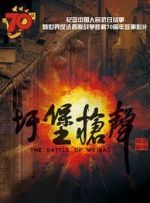 久久久国产精品va麻豆