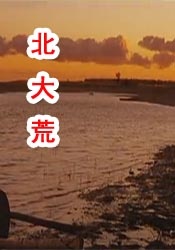 黄色一号视频