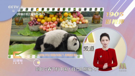 国产精品一区在线观看